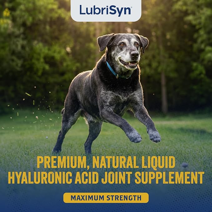 LubriSyn HA Hyaluronic Acid Hip & Joint Supplement for Dogs & Cats, Vet-Developed Oral HA, Original Pet & Equine Liquid Formula Supports Mobility, Cartilage Health & Comfort, 16 oz