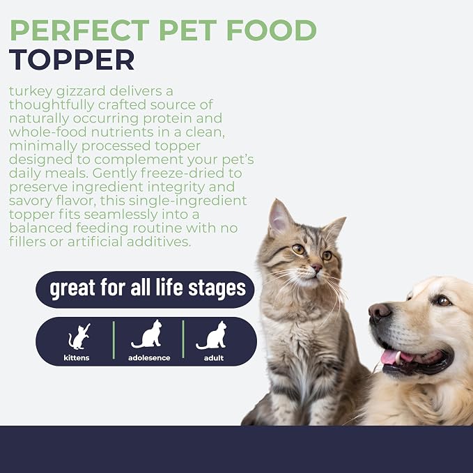 Momentum Carnivore Nutrition Freeze-Dried Turkey Gizzard Pet Food Topper – Single-Ingredient, All-Natural Topper – High-Protein for Dogs and Cats, Grain-Free and Made in The USA– (3.75 oz Bag)