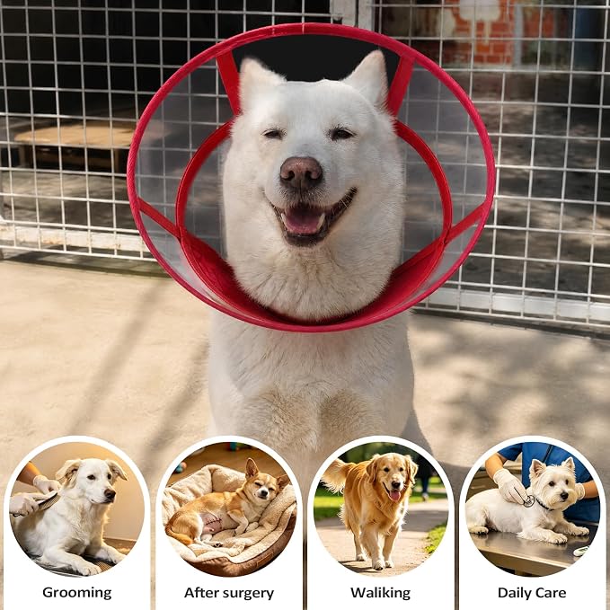 Dog Cone Collar for After Surgery Recovery, Soft Adjustable Elizabethan Collar for Small Medium Large Dogs, Comfortable Anti-Lick Cone for Wound Healing (Red XL)