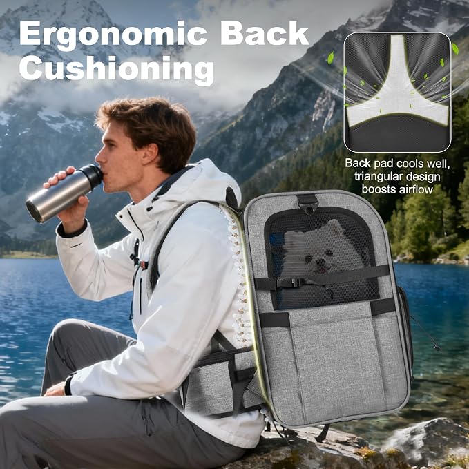 Dog Carrier Backpack for Small Dogs - Breathable Mesh Hiking Bag with Safety Buckle, Adjustable Straps and Standard Pad - Durable for Hiking (Fits Small Cats Too, Up to 17lbs, Gray)