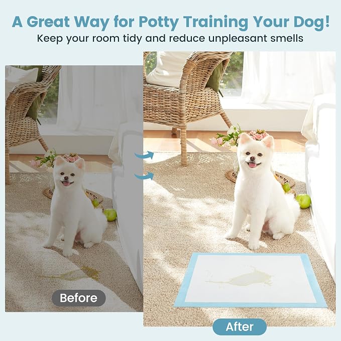 PETSITE Dog and Puppy Pee Pads, 6-Layer Leak-Proof Super Absorbent, Quick-Dry Surface, Indoor Outdoor Disposable Potty Training Pads, Blue & White (18" x 13" (300 Count))