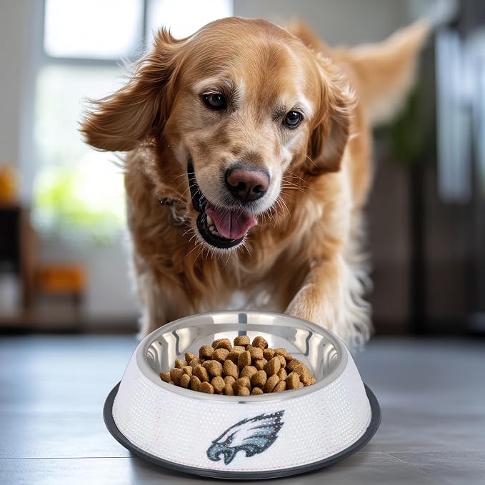 The Memory Company Officially Licensed Stainless Steel Pet Bowl, Premium Bling Team Logo Dog & Cat Food & Water Dish, Non-Slip Rubber Base, for Large/Small Breeds