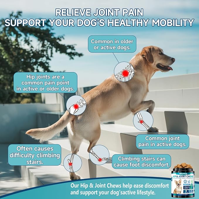 Woyamay Dog Joint Support & No Chew Spray Bundle - 200 Glucosamine Chews with Chondroitin, MSM & Turmeric + Bitter Apple Spray for Chewing, Licking & Training - Mobility & Behavior Solution