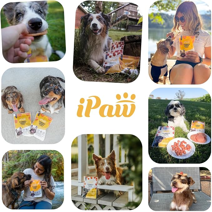iPaw 3 Value Combo Chicken Tots Dog Treats for Puppy Training, SQF Certified Human Grade Dog Treat, Hypoallergenic, Easy to Digest (Chicken Tots), 3 Packs