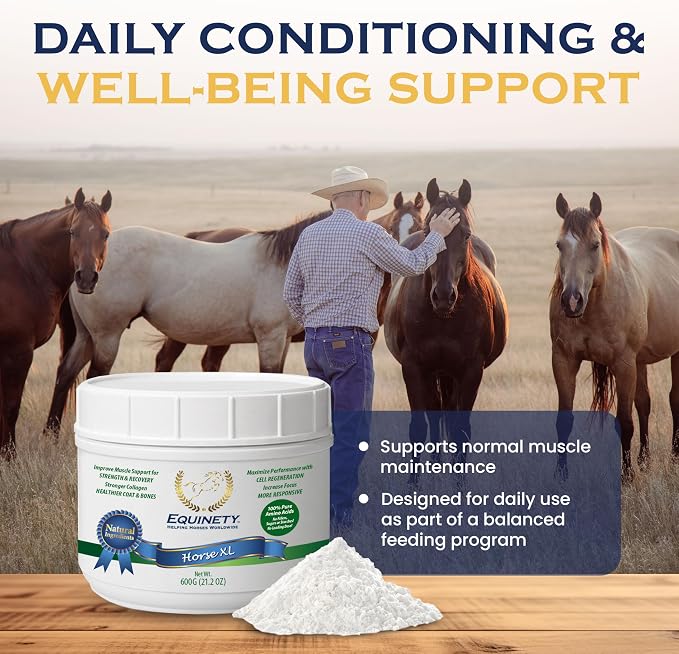 100-Day Supply Horse XL Supplement – Amino Acids for Cellular Repair, Coat Defense, Weight Gain, Joint & Hoof Support – No Soy/Sugar – Equine Supplements for Muscle, Immune Support & Overall Health
