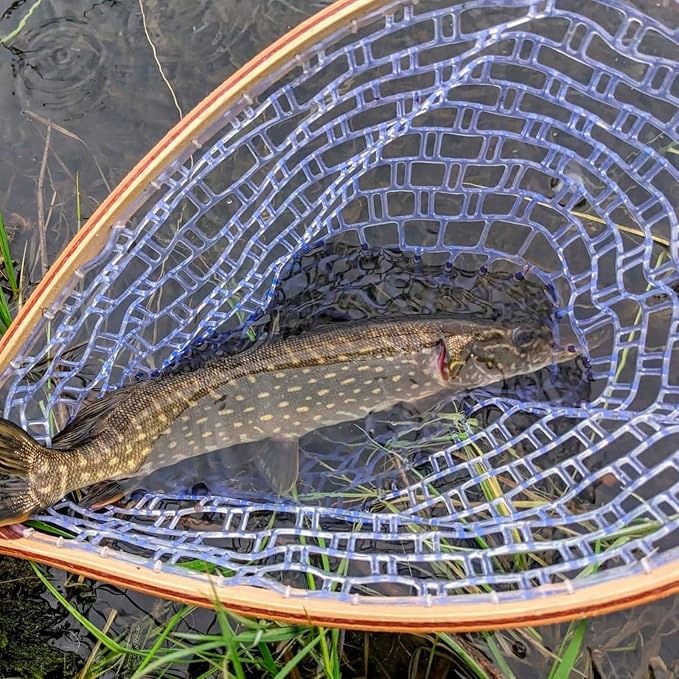 GAOMONFishing Net