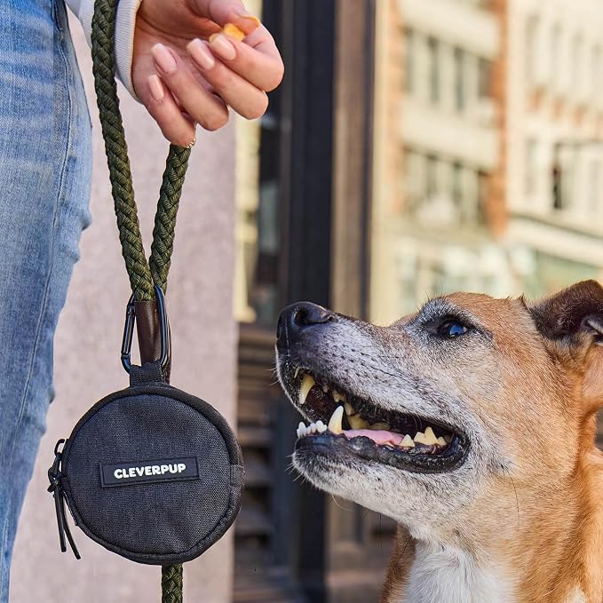 Cleverpup Training Sling & Snackpack Double Insulated Treat Pouch in Graphite