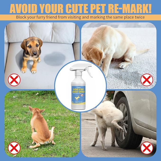16 Oz Ideal for Training and Housebreaking | Effective Training Spray for Dogs to Stop Unwanted Marking and Messy Urination