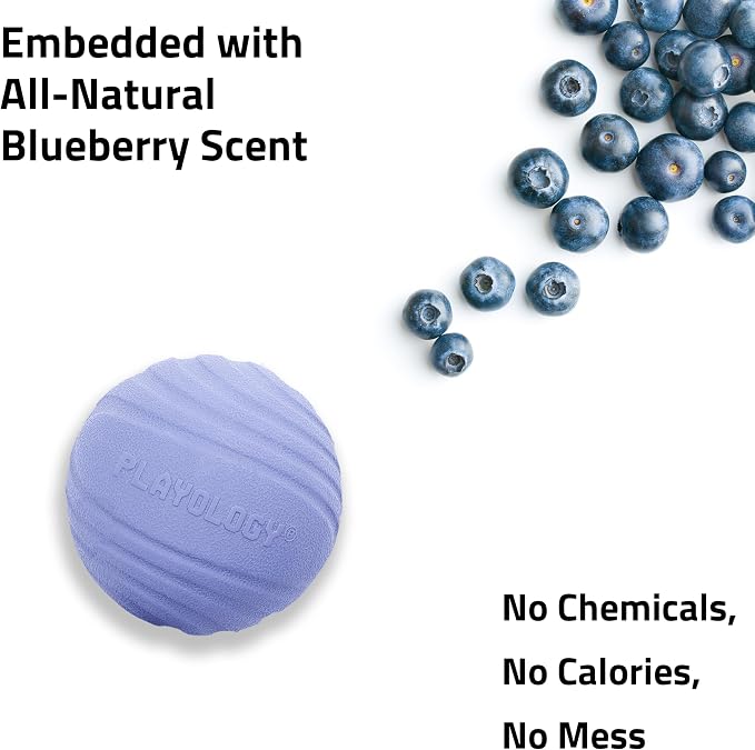 Playology Dog Toys | Dual Layer Ball Durable Chew Toy for Tough Chewers | Blueberry Scented Medium Dog Toy | Chew Toys for Dogs