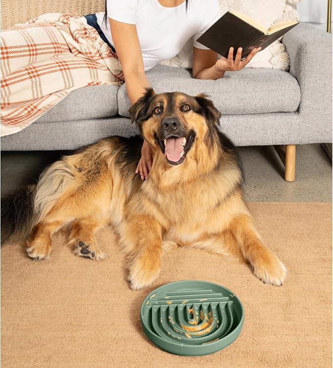 Should We Go? Slow Feeder Dog Bowls - Large Size Silicone Slow Eating Dog Bowl for Puppies & Dogs with Suction Cup -Dishwasher-Safe, Lick Mat Design, Reduces Gulping,for All Breeds,9.5”x1.5”- Spruce