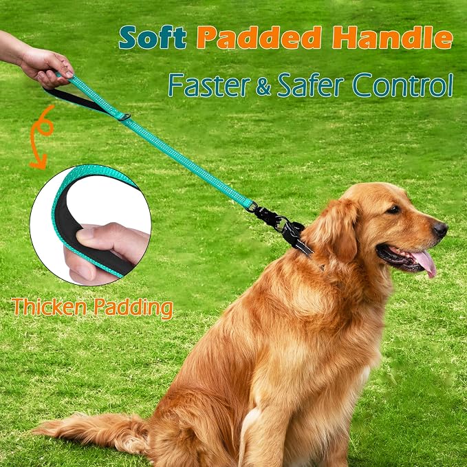 PetBonus Heavy Duty 24 Inch Short Dog Leash and 2-Pack Large Silicone Collapsible Dog Bowls