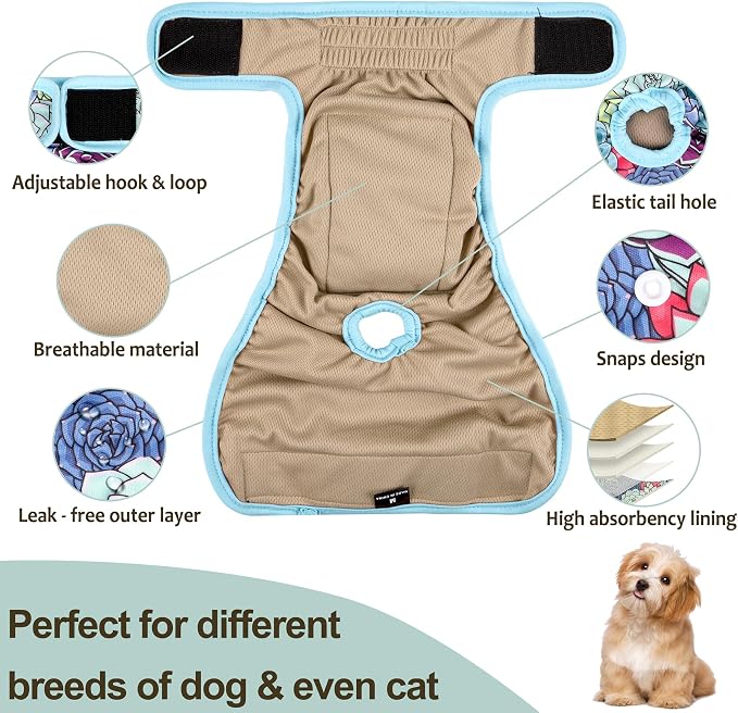 Washable Female Dog Diapers - Premium Reusable Diapers for Doggie in Heat - Highly Absorbent Dog Diapers Female for Pet Incontinence with Adjustable Snaps (Succulents, M)