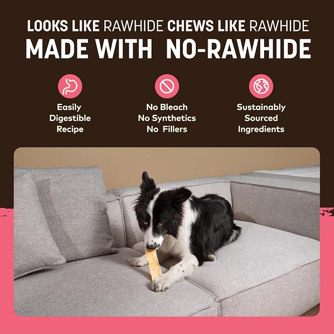 Earth Animal No Hide Strips - Natural Rawhide Free Dog Chew Strips, Salmon - 16 Count