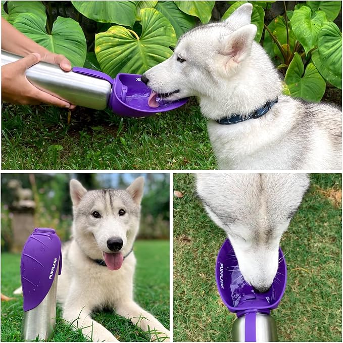 Tuff Pupper Dog Water Bottle Holder and PupFlask Portable Water Bottle - 40oz, Violet