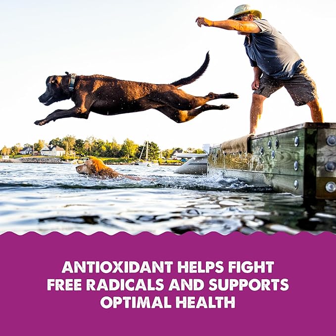 Grizzly Wild Antarctic Krill Oil All-Natural Antioxidant Dog Food Supplement, 8 oz