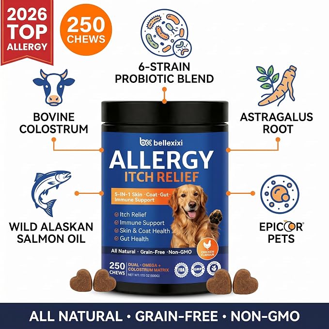 Dog Allergy Chews 250ct - Seasonal Allergy & Itching Skin Relief for Dogs - Soft Chews with Colostrum, Probiotics & Omega 3 for Licking Paws, Hot Spots & Immune Support - Chicken Flavor (17.6 OZ)
