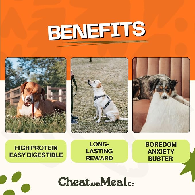 Bully Sticks for Medium & Large Dogs - Chew Toys for Aggressive Chewers, Standard 6 Inch (5 Count), Long Lasting, 100% Grass-Fed, Single Ingredient, Rawhide-Free, Free Range