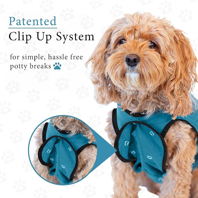 BellyGuard Dog Surgery Recovery Suit, Post-Op Dog Recovery Suit for Female Spay & Male Neuter, Comfy Onesie for Pets, Surgical Body Cover for Canine Healing Support