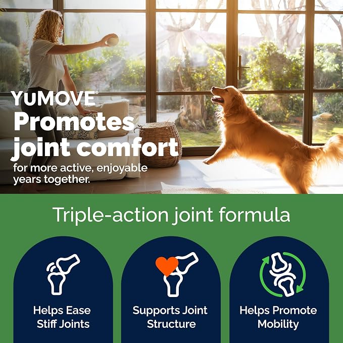 YuMOVE Adult Dog Hip & Joint Soft Chews, ActivEase Green Lipped Mussel, Glucosamine for Dogs, Hyaluronic Acid & Omega 3 - Barbecue Flavor (150ct Chews, Regular Strength)