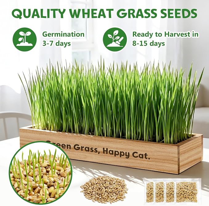 LUOJIBIE Cat Grass Kit for Indoor Cats, Cat Grass Seeds Set, Non-GMO Wheat Grass, Mothers Day Gifts for Mom, Unique Christmas Birthday Gifts for Women Men Girl, House Warming Gifts for Cat Lover