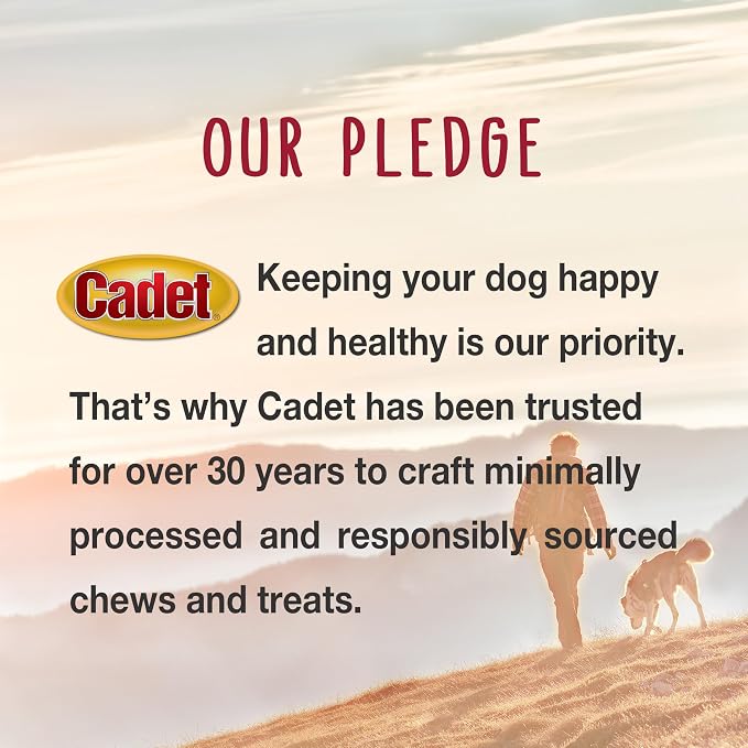 Cadet Bully Sticks for Small Dogs, All-Natural Beef Pizzle, Rawhide-Free Long-Lasting Dog Chews for Aggressive Chewers, 1 Count