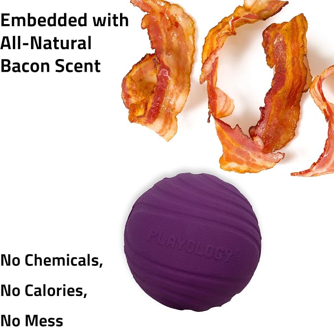 Playology Dog Toys | Dual Layer Ball Durable Chew Toy for Tough Chewers | Bacon Scented Medium Dog Toy | Chew Toys for Dogs