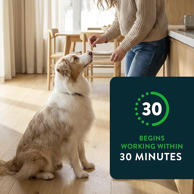 Capstar(nitenpyram) for Dogs Fast-Acting Oral Flea Treatment for Dogs Over 25 lbs, Vet-Recommended Medication Tablets Start Killing in 30 Minutes, 60 Doses