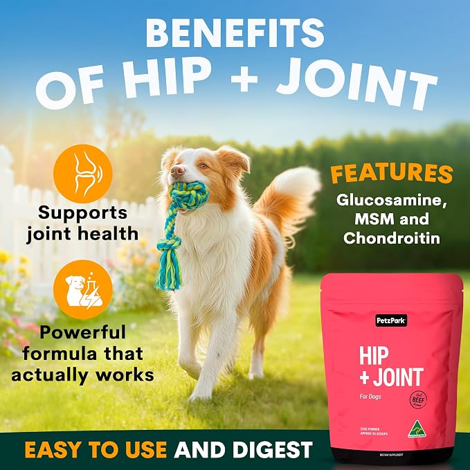 Petz Park Hip + Joint for Dogs 90 Scoops, Glucosamine for Dogs with Chondroitin and MSM, Dog Hip and Joint Supplement for Mobility Support, Dog Food Topper Powder for Joint Health and Flexibility