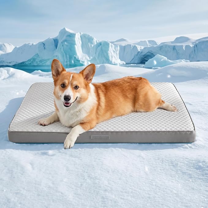 WDCOZY Orthopedic Cooling Dog Bed for Large Dogs, Q-Max>0.4 Breathable Summer Pet Mat with High Density Memory Foam, Removable Washable Cover, Non-Slip Dog Crate Bed for Pets Up to 60 lbs，36x23 Inch
