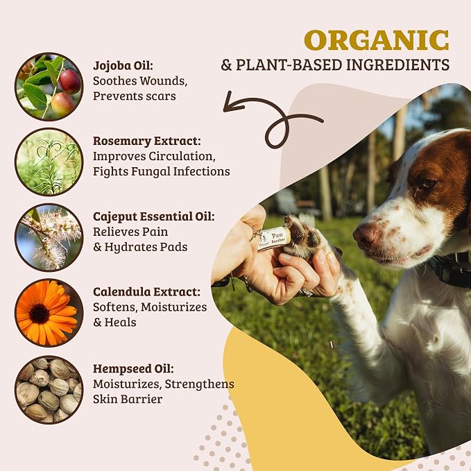 Natural Dog Company Paw Soother Dog Paw Balm – Moisturizes Dry Cracked Paws After Walks, Hot Pavement, Beach Sand, Hiking & Outdoor Play with Coconut Oil & Calendula, Daily Paw Care, 0.15 oz Stick