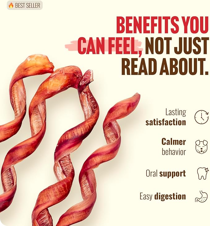 Natural Farm Odor-Free Curly Bully Sticks (10-12 Inch, 5 Pack), Fully Digestible, 100% Beef Pizzle Chews, More Engagement & Fun, Grass-Fed, Non-GMO, Fully Digestible - Best for Small & Medium Chewers