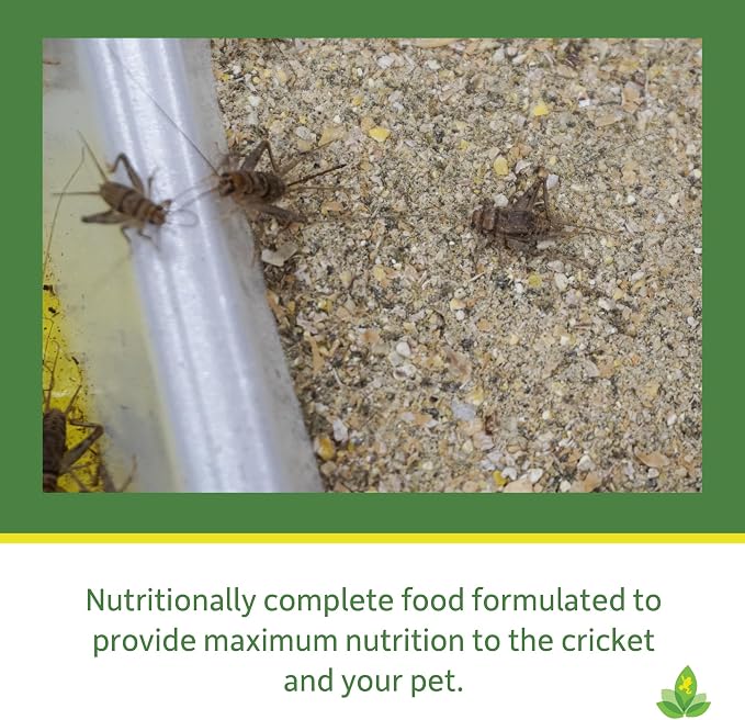 Josh's Frogs Premium Cricket Cuisine Cricket Gutloading Food (1 Gallon)