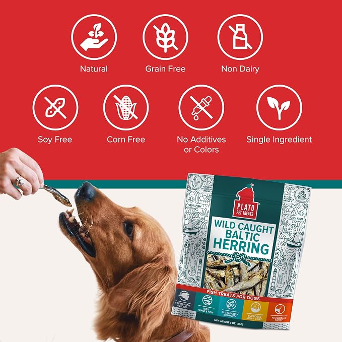 Plato Pet Treats Fish Dog Treats - Air-Dried, Single Ingredient Dog Treat - with Omega 3 & 6 Fatty Acids to Support Skin and Coat - 100% Whole Fish - Wild Caught Baltic Herring Dog Treats - 8.5 oz