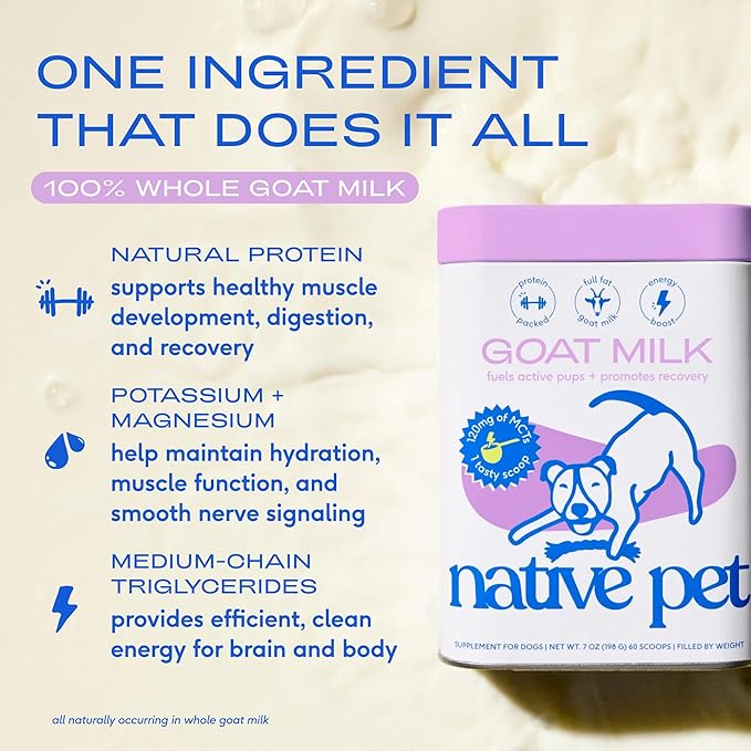 Native Pet Goat Milk Powder - Dog Food Topper for Active Dogs - Post-Activity Recovery, Energy, Immune Support, Hydration & Bone Health - Whole Goat Milk with MCTs & Essential Minerals - 60 Scoops