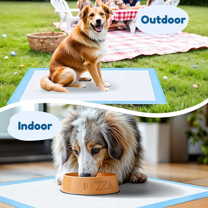 Super Absorbent Waterproof Dog and Puppy Pet Training Pad, Housebreaking Pet Pad, 40-Count Extra Middle-Size, 30’’X30’’, Blue
