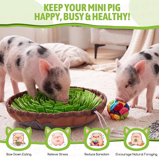 Pig Snuffle Mat and Snuffle Ball Kit for Mini Pigs, Potbellied Pigs, Interactive Rooting, Foraging, and Enrichment Toys, Slow Feeding, Portable Non-slip Mat and Ball for Pig Toys Accessories