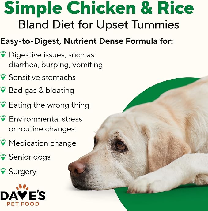 Dave's Pet Food Bland Dog Food for Sensitive Stomachs (Lamb & Rice), Limited Ingredient, Gluten & Wheat Free, Easy to Digest, Canned Wet Meal or Topper, 13.2 oz (12 Pack)
