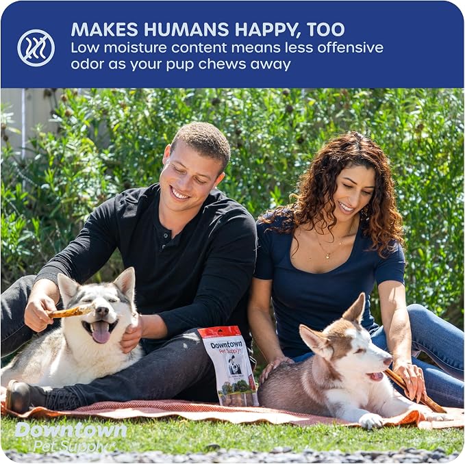 Downtown Pet Supply USA-Made 6", 1 Lb. Jumbo Bully Sticks for Large Dogs - Rawhide Free Dog Chews Long Lasting and Non-Splintering - Single Ingredient, Low Odor Bully Sticks for Medium Dogs