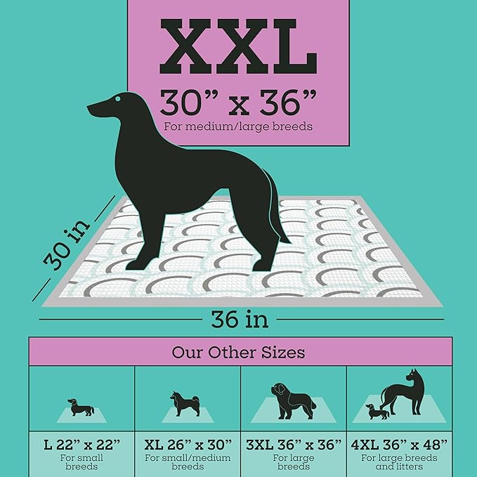 Pet Life Unlimited Smart Prints XXL Puppy Pads for Dogs, Potty Training Pee Pads, 64 Count, 30" x 36", Leak-Proof, Super Absorbent, Quick-Dry, Patterned Pads with Odor Control, Made in USA