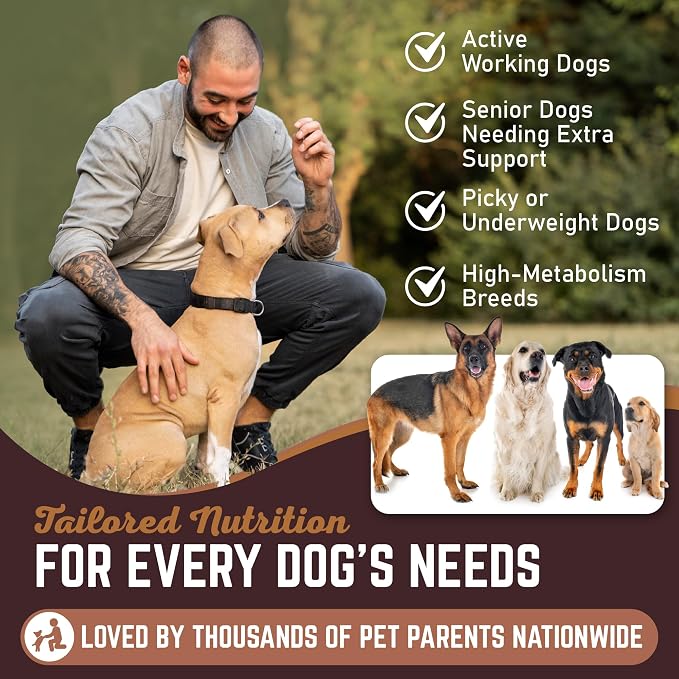 All American Canine 100 Natural Duck Feet Dog Treats– Single Ingredient, Dehydrated & Digestible – Crunchy, Low-Fat, High-Protein Chew for Joint Support & Dental Health – Made in USA