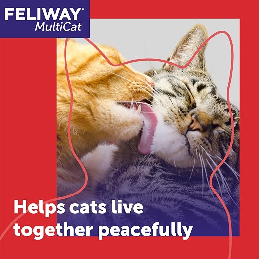 FELIWAY MultiCat 30 Day Cat Calming Plug In Pheromone Diffuser Starter Kit, 48ml - Helps Reduce Conflicts and Signs of Tension in Multi-Cat Households