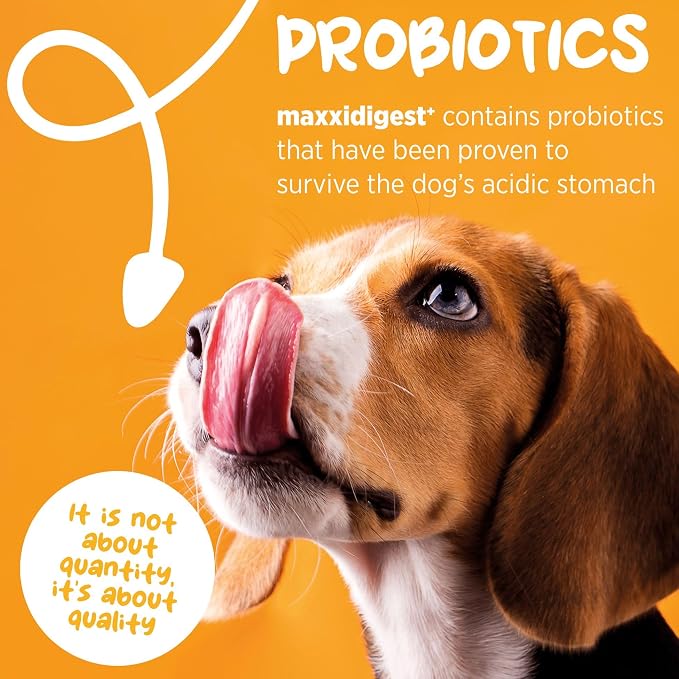 maxxipaws maxxidigest+ Prebiotic & Probiotic for Dogs 7oz | Dog Probiotic Powder with Advanced Digestive Enzymes for Gut Health & Immunity | Supports Digestion, Food Sensitivities & Itchy Skin