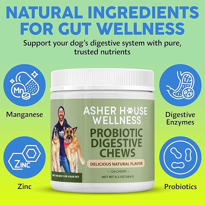 Asher House Wellness Probiotics Digestive Chew for Dogs - Now Lillie & Lee - Probiotic, Digestive Enzymes for Gut Health & Digestion - Pet Chews for Diarrhea, Upset Stomach - 120 Chews