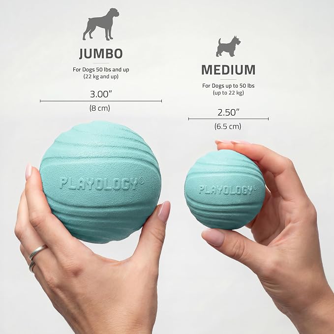 Playology Dog Toys | Dual Layer Ball Durable Chew Toy for Tough Chewers | Peanut Butter Scented Jumbo Dog Toy | Chew Toys for Large Dogs