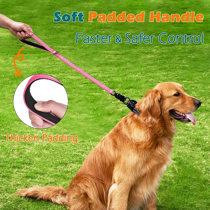 PetBonus Heavy Duty 24 Inch Short Dog Leash and 2-Pack Large Silicone Collapsible Dog Bowls