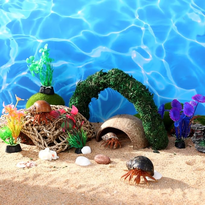 14 Pcs Hermit Crab Accessories Natural Hermit Crab Habitat Toy Artificial Moss and Plants Suction Cups for Lizard Chameleon Leopard Gecko Reptile Amphibians Tank Decoration (Rainforest Style)