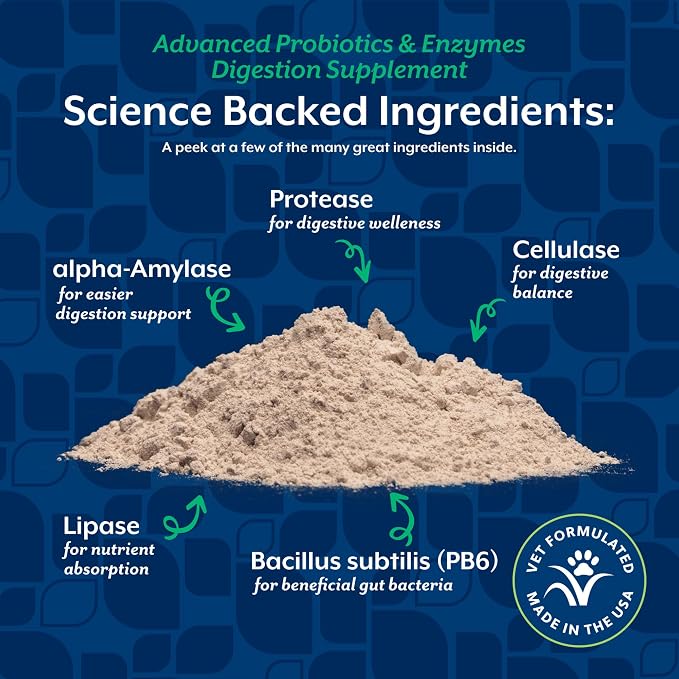 NaturVet – Advanced Probiotics & Enzymes - Plus Vet Strength PB6 Probiotic | Supports and Balances Pets with Sensitive Stomachs & Digestive Issues | for Dogs & Cats (8 oz)