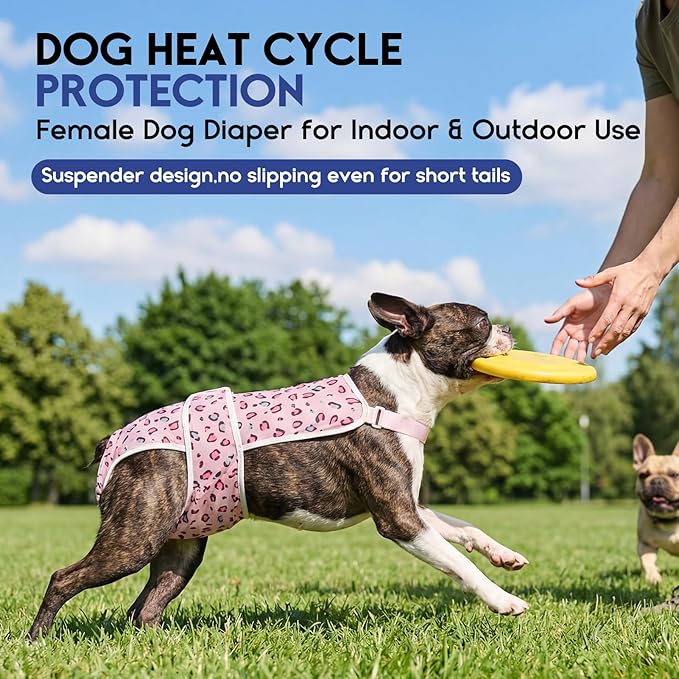 ASENKU 2 Pack Female Dog Diapers with Suspenders, Reusable Washable Puppy Panties for Small Dogs, Leak-Proof Pet Underwear for Heat Cycle & Period