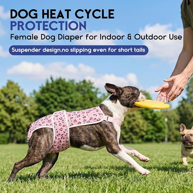 ASENKU 2 Pack Female Dog Diapers with Suspenders, Reusable Washable Puppy Panties for Small Dogs, Leak-Proof Pet Underwear for Heat Cycle & Period