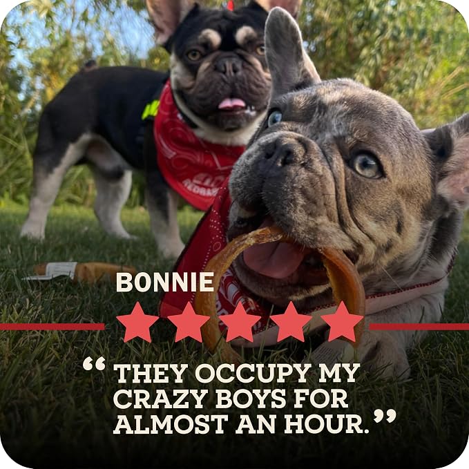 Redbarn Bully Spring Dog Chews 4"-6" 3-Count- 100% Natural Single Ingredient Beef Pizzle Spiral Sticks for Medium to Large Dogs - Rawhide Free Long Lasting Dental Chews